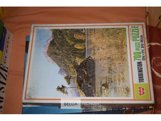 4x div puzzels - afbeelding 3 van  4