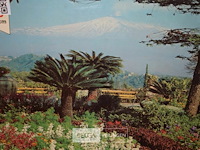 4x div puzzels - afbeelding 2 van  4