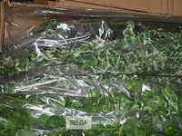 4x dozen plastieke bloemen - afbeelding 2 van  3