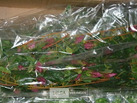 4x dozen plastieke bloemen - afbeelding 3 van  3