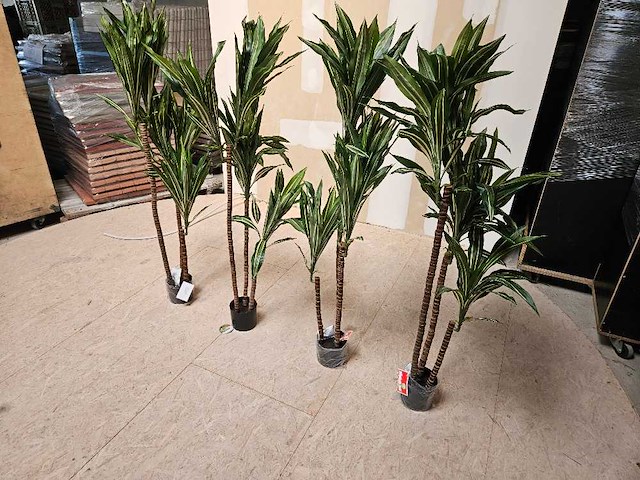 4x dracaena kunstplant - afbeelding 1 van  5