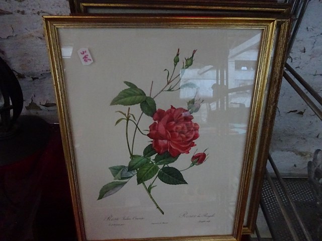 4x kader bloem - afbeelding 1 van  4