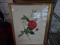 4x kader bloem - afbeelding 1 van  4