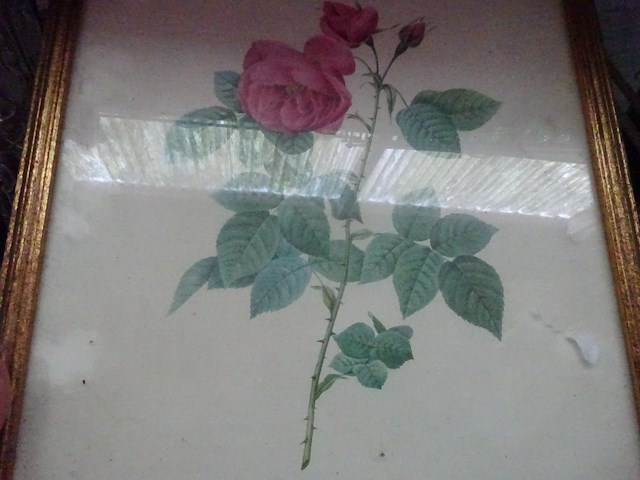 4x kader bloem - afbeelding 2 van  4