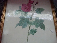 4x kader bloem - afbeelding 2 van  4