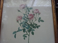 4x kader bloem - afbeelding 3 van  4