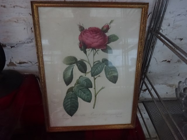 4x kader bloem - afbeelding 4 van  4