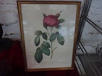 4x kader bloem - afbeelding 4 van  4