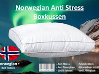 4x norwegian anti-stress boxkussen - afbeelding 1 van  1