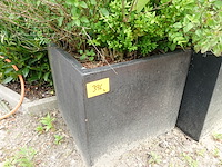 4x plant - afbeelding 3 van  10