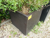 4x plant - afbeelding 9 van  10