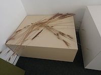 4x verrijdbare presentatieblok - afbeelding 5 van  5