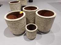 4x vorstvrije terracotta bloempot - afbeelding 2 van  5
