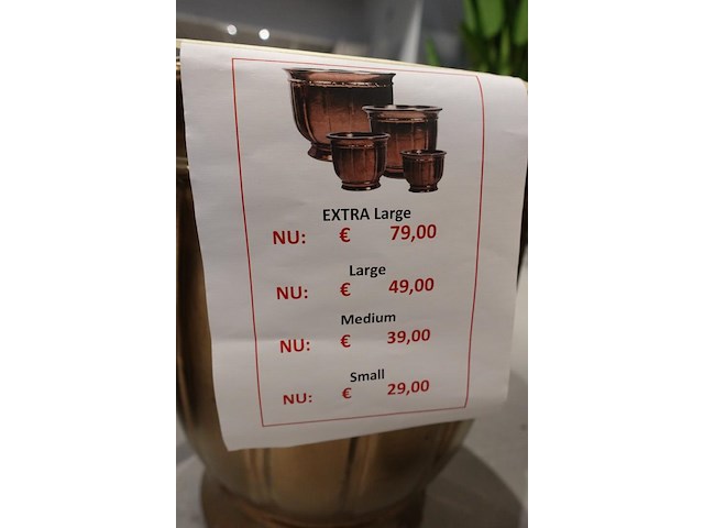 4x vorstvrije terracotta bloempot - afbeelding 3 van  3