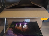 4x wandlamp philips hue dymera