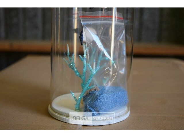 4x24st decoratie - afbeelding 3 van  4