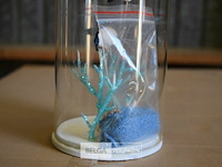 4x24st decoratie - afbeelding 3 van  4