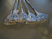 5 bladharken - afbeelding 2 van  4