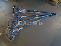 5 bladharken - afbeelding 4 van  4