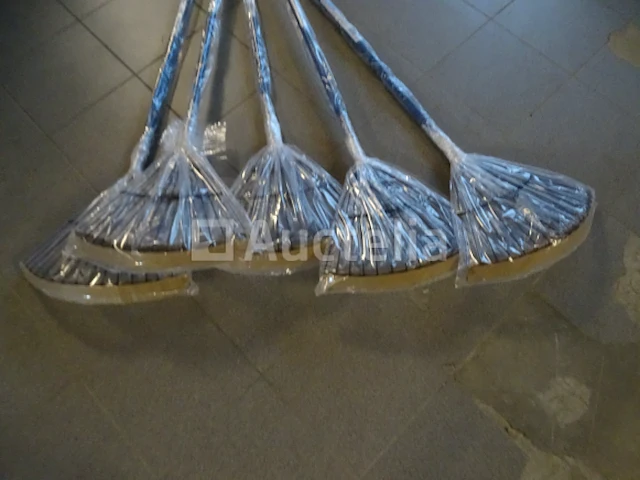 5 bladharken - afbeelding 2 van  4