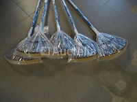 5 bladharken - afbeelding 2 van  4