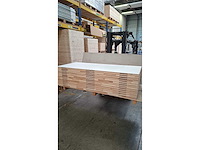 5 brandwerende + inbraakvertragende schilderdeurgehelen - afbeelding 7 van  8