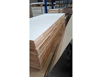 5 brandwerende + inbraakvertragende schilderdeurgehelen - afbeelding 4 van  8