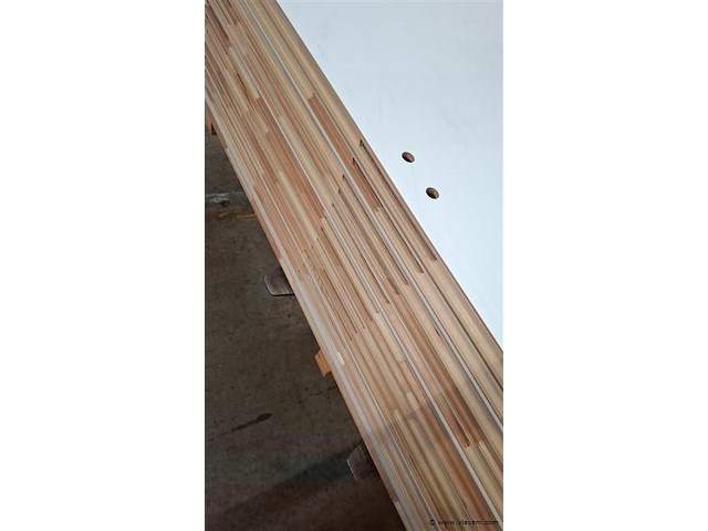 5 brandwerende + inbraakvertragende schilderdeurgehelen - afbeelding 6 van  8