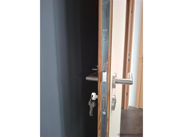 5 brandwerende + inbraakvertragende schilderdeurgehelen - afbeelding 1 van  8