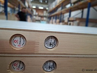 5 brandwerende + inbraakvertragende schilderdeurgehelen - afbeelding 5 van  8