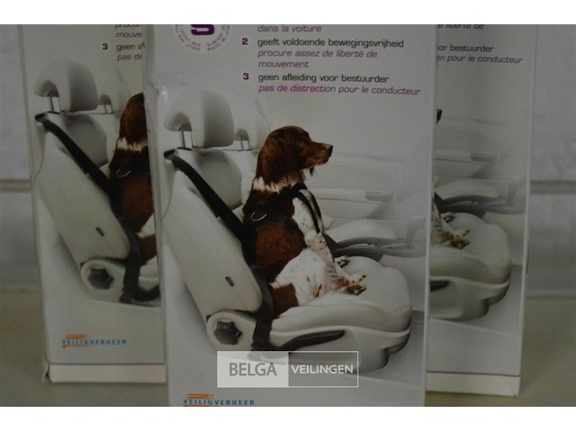 5 dierengordels - afbeelding 2 van  2