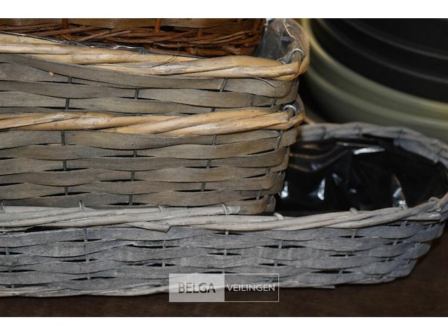 5 div rieten bloembakjes - afbeelding 3 van  4