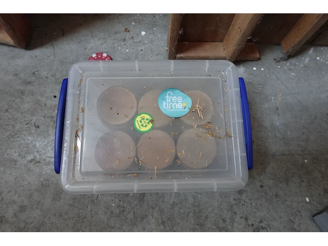 5 diverse houten spelen + reuze rollit - afbeelding 8 van  12