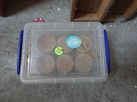 5 diverse houten spelen + reuze rollit - afbeelding 8 van  12