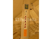 5 diverse ladders - afbeelding 5 van  12