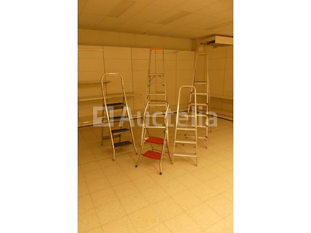 5 diverse ladders - afbeelding 8 van  12