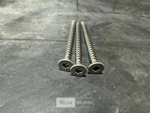 5 dozen torxschoeven - afbeelding 1 van  3