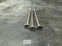 5 dozen torxschoeven - afbeelding 1 van  3
