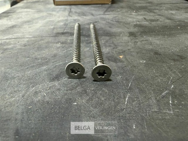5 dozen torxschoeven - afbeelding 1 van  2