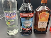 5 flessen diverse geestrijke dranken - afbeelding 2 van  5