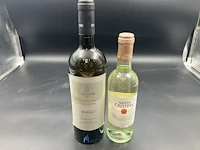 5 flessen diverse witte wijn
