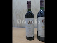 5 flessen wijn 75 cl château montus (010871-066) - afbeelding 5 van  6