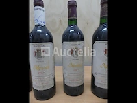 5 flessen wijn 75 cl château montus (010871-066) - afbeelding 6 van  6