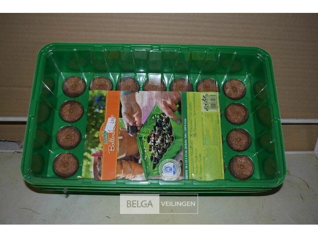 5 kamerbroeikastjes - afbeelding 1 van  2