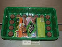 5 kamerbroeikastjes - afbeelding 1 van  2