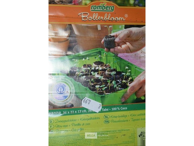 5 kamerbroeikastjes - afbeelding 2 van  2