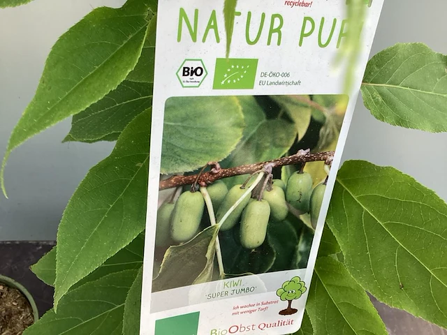 5 kiwi mix - afbeelding 2 van  4