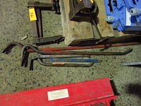 5 koevoeten - afbeelding 1 van  1