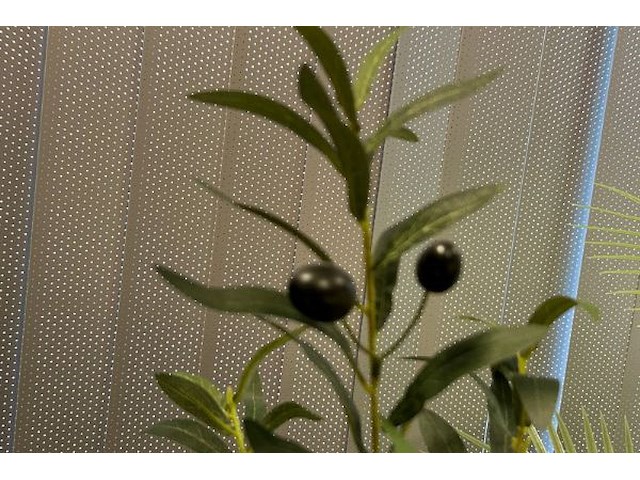 5 nepplanten - afbeelding 5 van  6