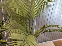 5 nepplanten - afbeelding 6 van  6